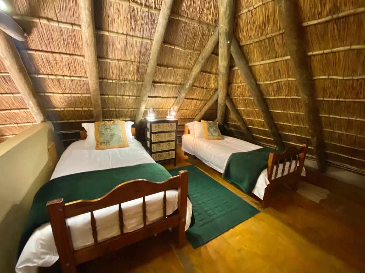 Parkview Safari Lodge 콜체스터 외부 사진