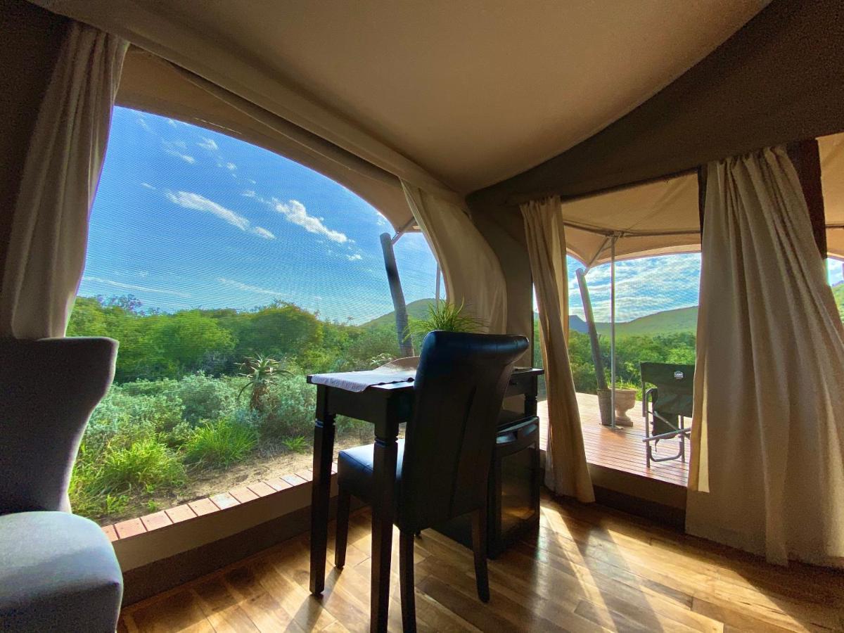 Parkview Safari Lodge 콜체스터 외부 사진