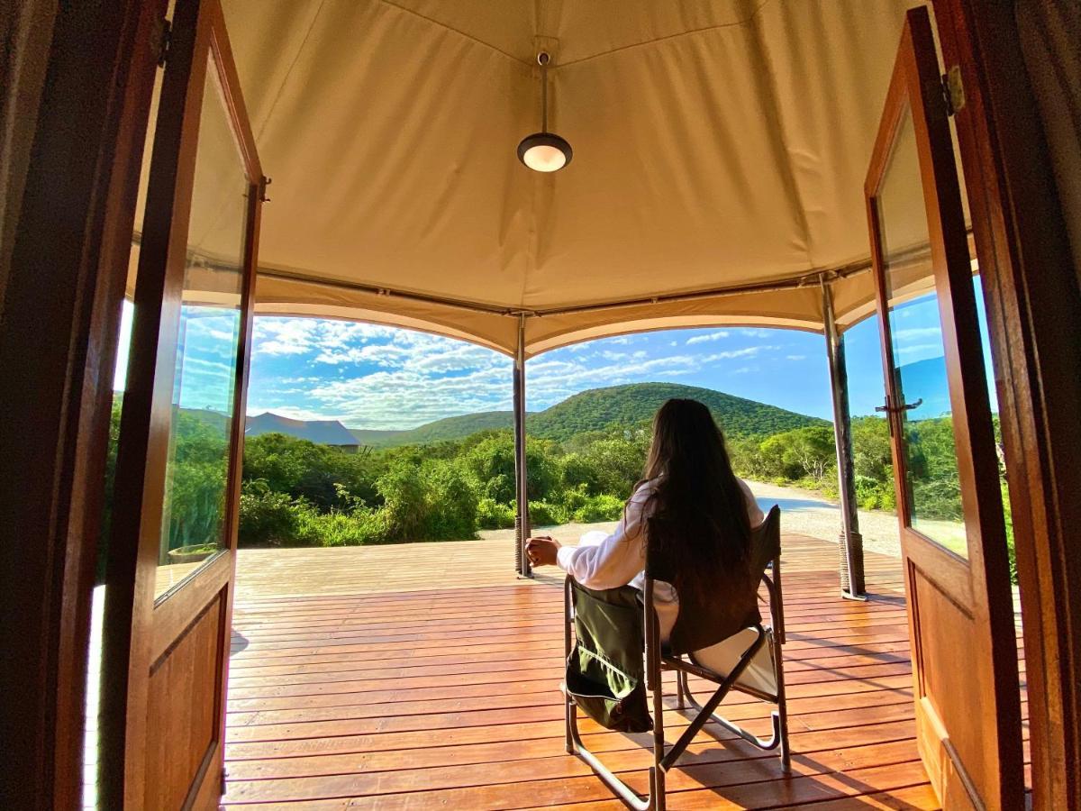 Parkview Safari Lodge 콜체스터 외부 사진