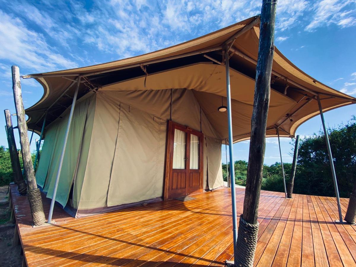 Parkview Safari Lodge 콜체스터 외부 사진
