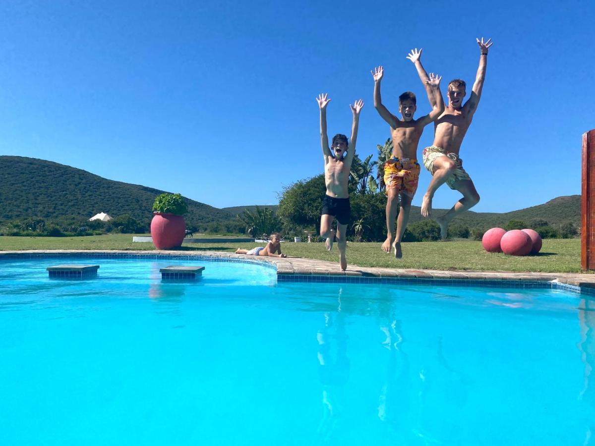 Parkview Safari Lodge 콜체스터 외부 사진