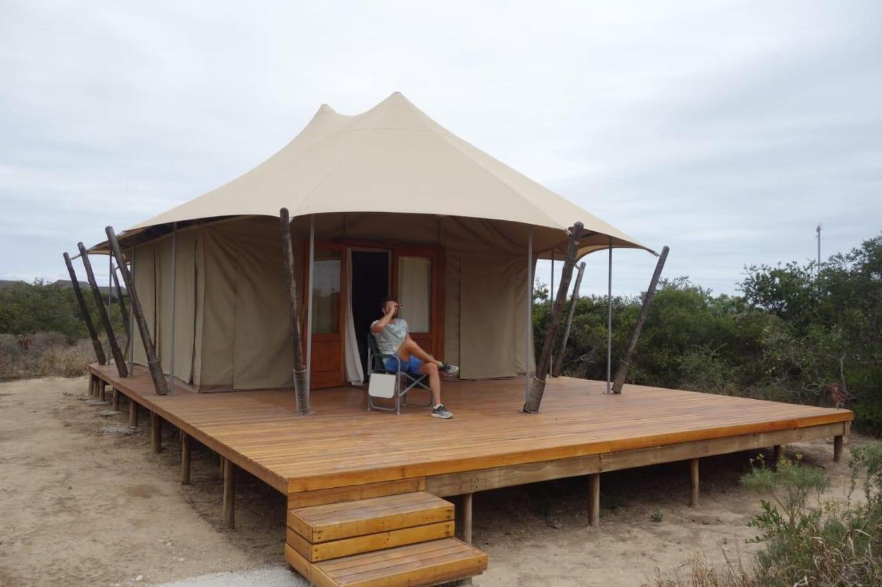 Parkview Safari Lodge 콜체스터 외부 사진